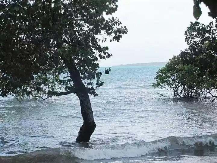 1 Hectare Beachfront Property for sale in San Rafael, Puerto Princesa City, Palawan — Beach Lot in Barangay San Miguel, Puerto Princesa, Palawan — Photo 3
