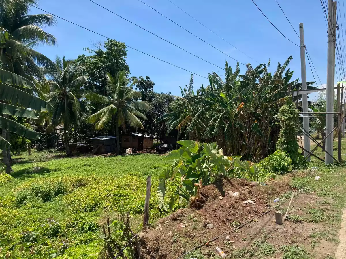 LOT FOR SALE IN TORIL — Commercial Lot in Santa Cruz, Davao del Sur, Philippines — Photo 3