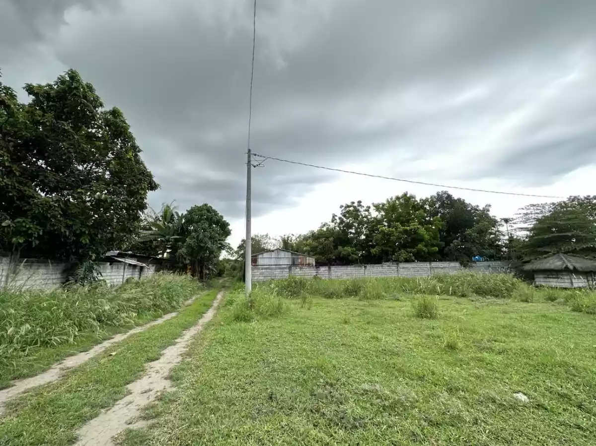1000sqm. Lot near Tanghal Subdivision — Residential Lot in PUROK CAÑAS, General Santos City, South Cotabato — Photo 6