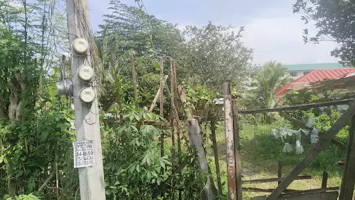 Open photo 14 of 21 — 2 Lots for Sale in Lacap Subd., Gensan