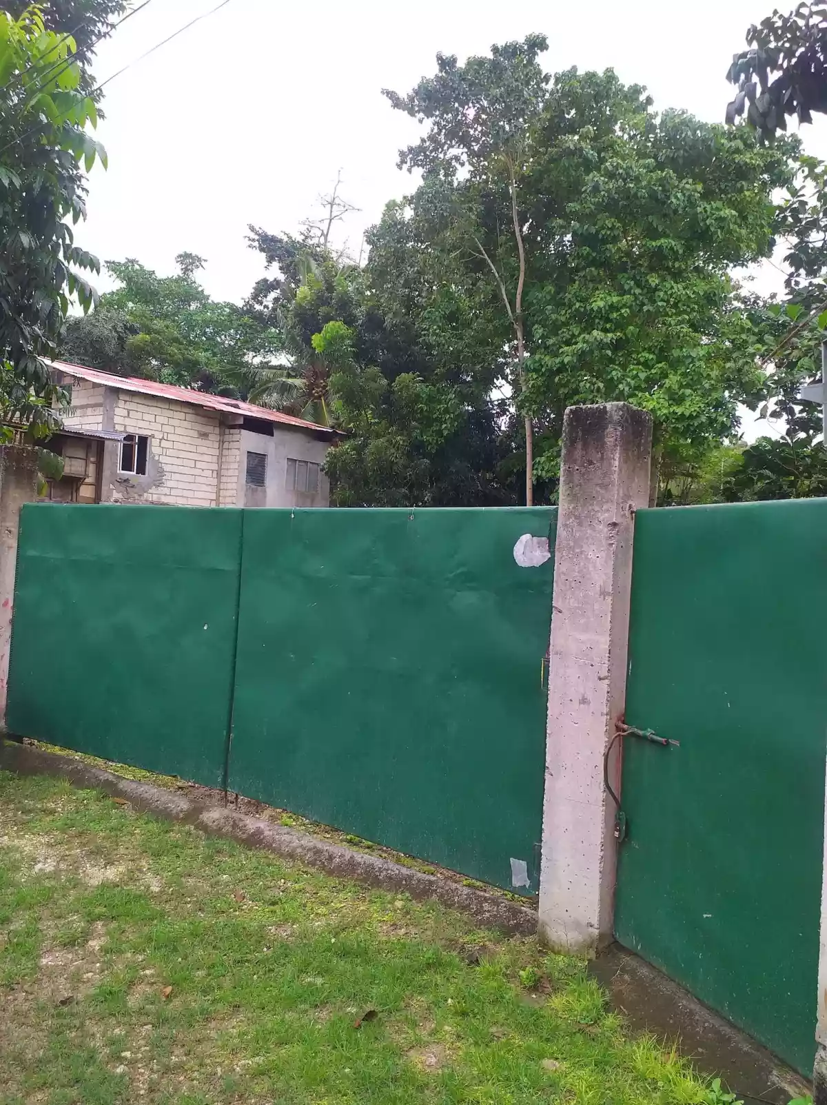 Residential Lot in Tagbilaran City - photo 4