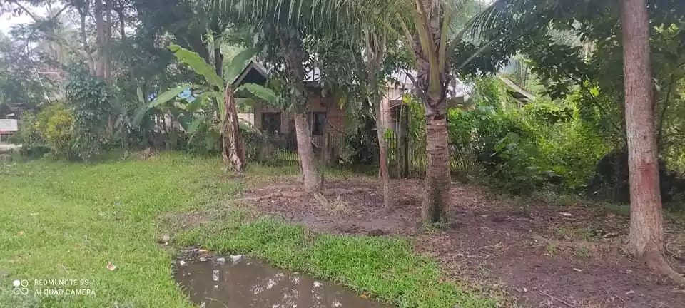 Residential Lot for Sale in Tubigon, Bohol — Residential Lot in Bohol, Philippines — Photo 4