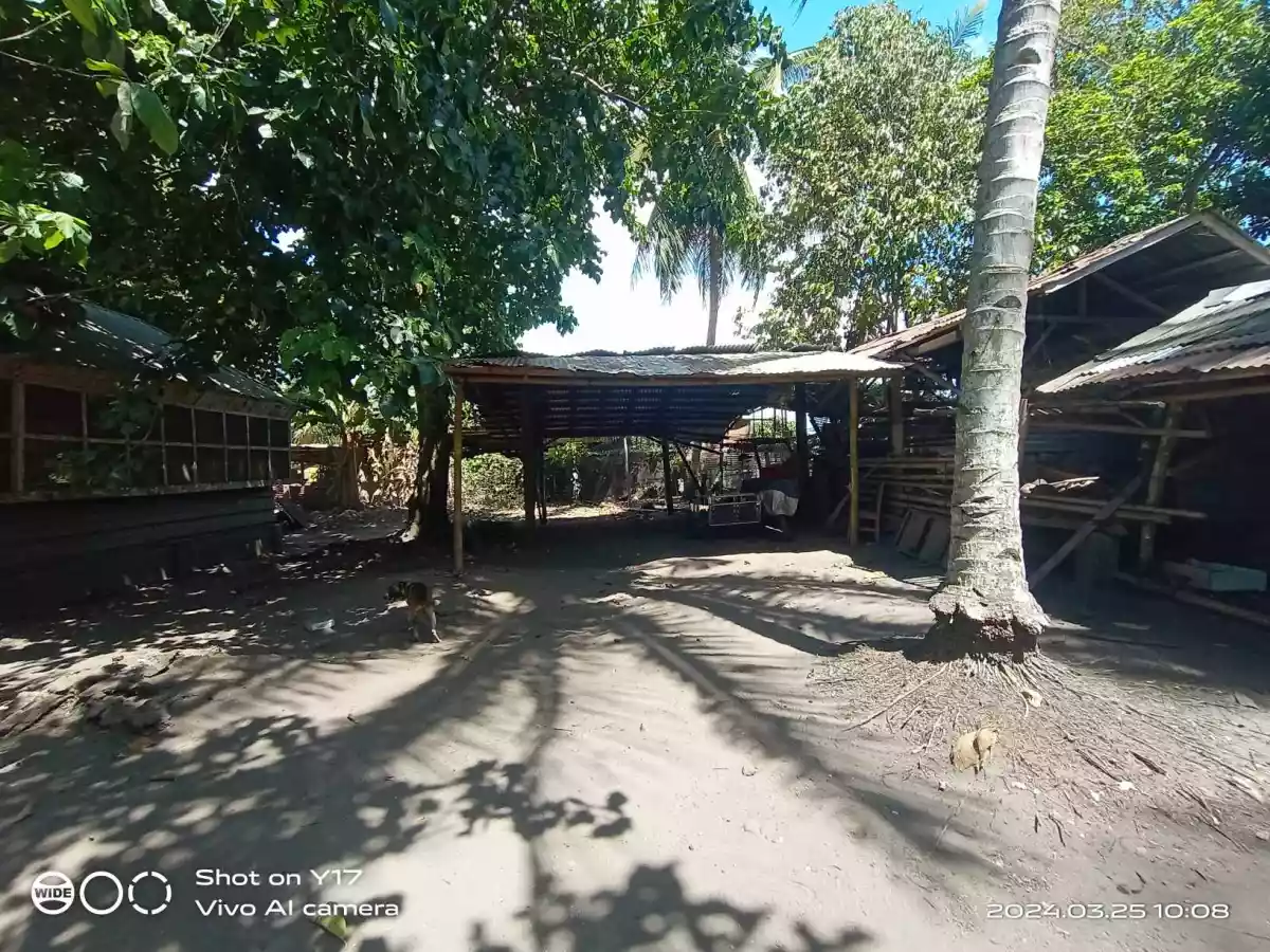 Open photo 17 of 21 — 1 HECTARE FOR SALE IN POLOMOLOK