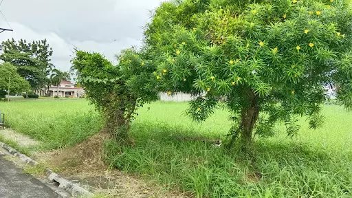 280sqm Lot in Las Villas De Hervias — Residential Lot in Atis Street, Bacolod, Negros Occidental — Photo 2