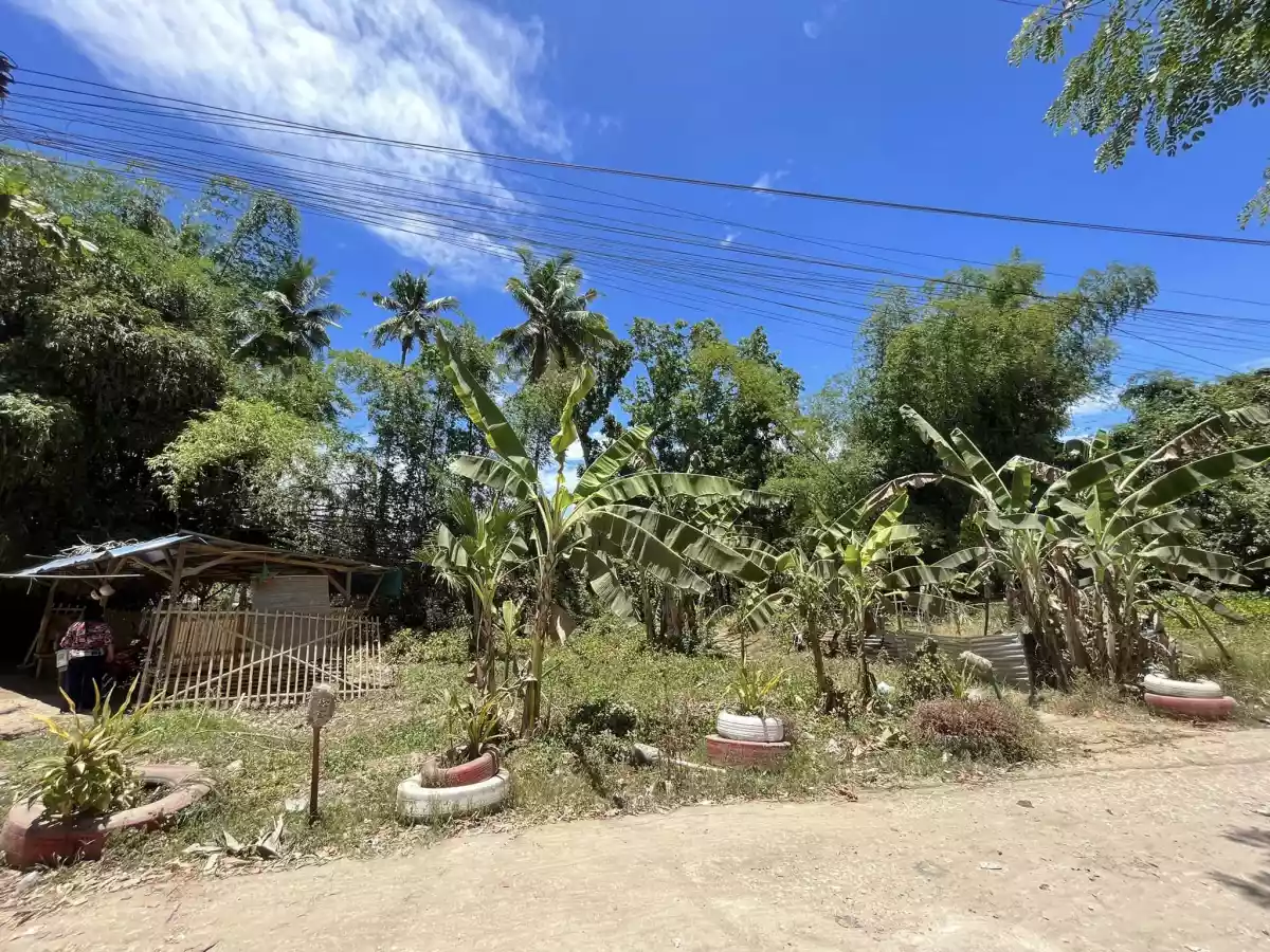 Lot for Sale in Liloan,Cebu