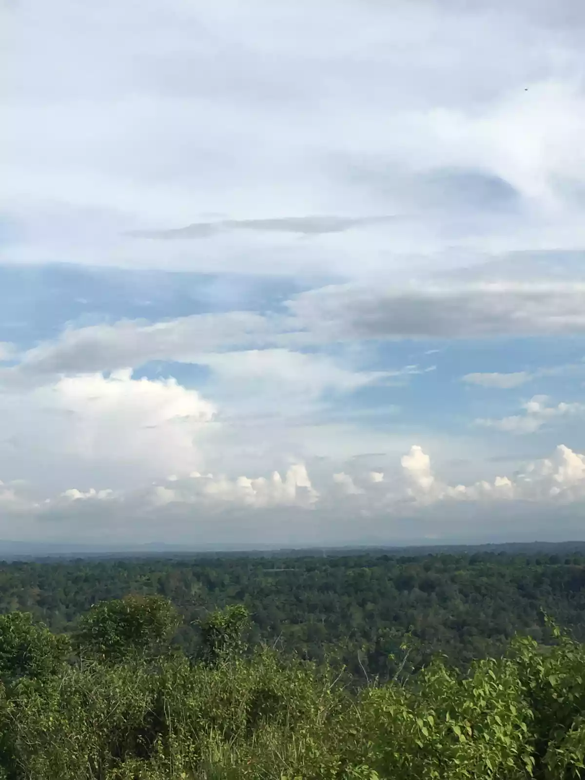 Pualas Near Hidden Valley Property — Agricultural Lot in Baungon, Bukidnon, Philippines — Photo 2