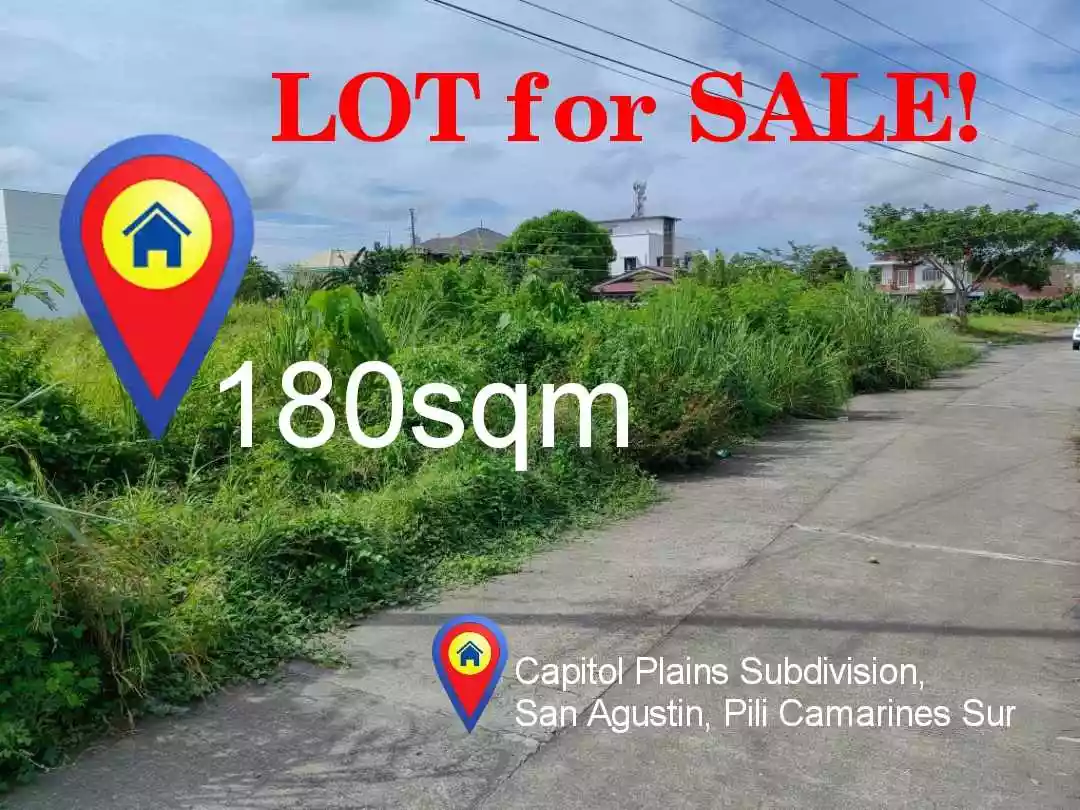 LOT FOR SALE in Capitol Plains, San Agustin, Pili Camarines Sur (Negotiable if a CASH Basis) - photo 3