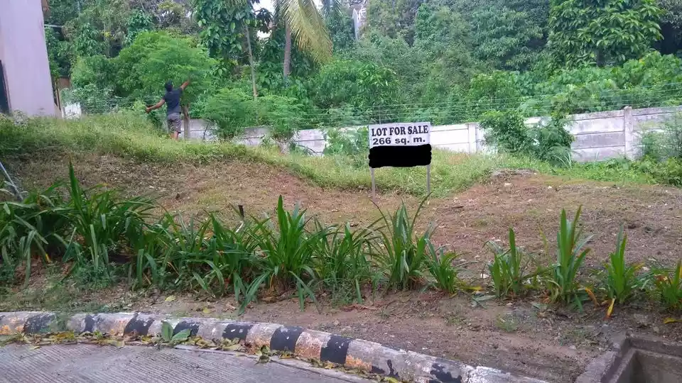 Azienda Lombardi Residential Lot — Residential Lot in Cebu, Philippines — Photo 4