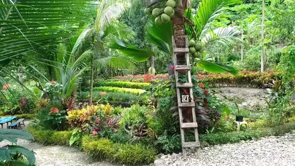 IDEAL FOR RESORT and REST HOUSE - photo 4