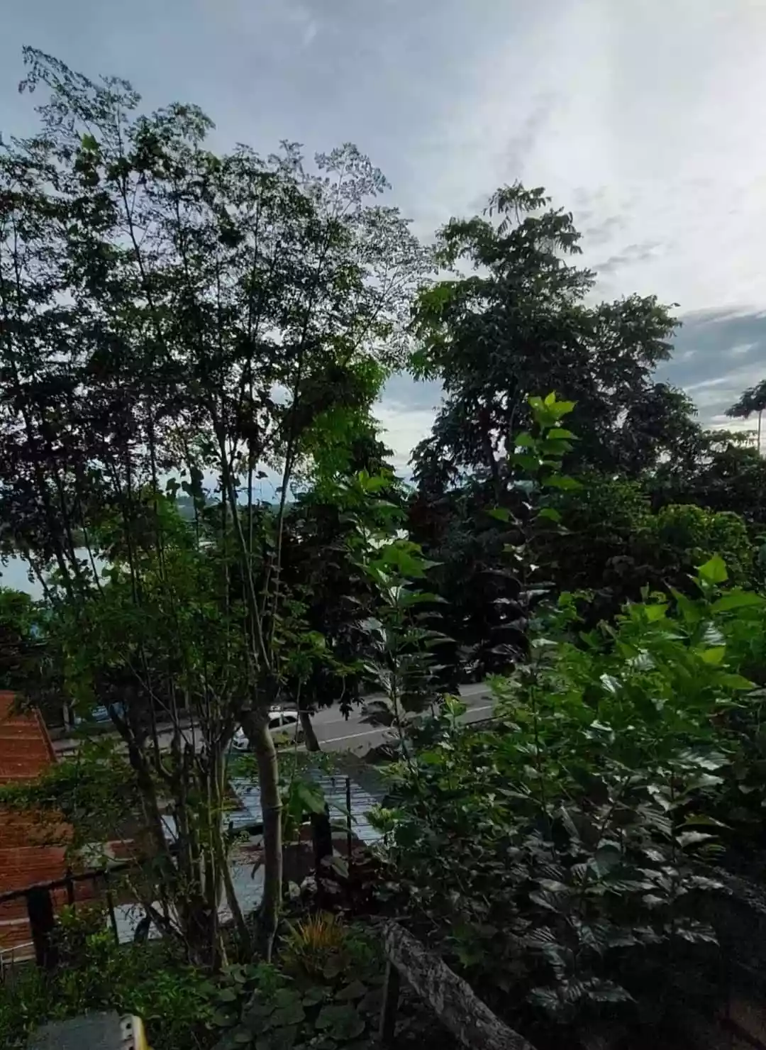 Commercial Lot in Tagbilaran City for Sale!!! — Commercial Lot in Tagbilaran City, Bohol, Philippines — Photo 2