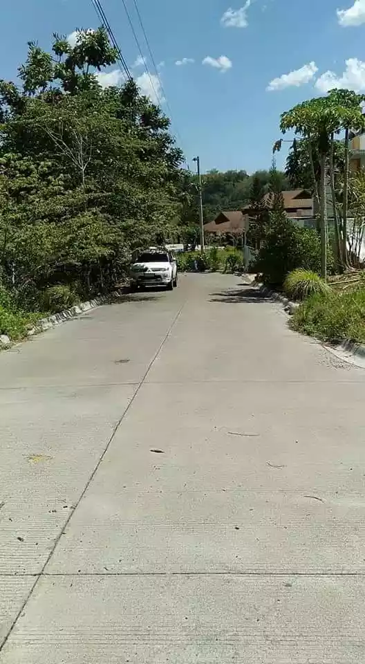 Residential Lot For Sale - photo 4