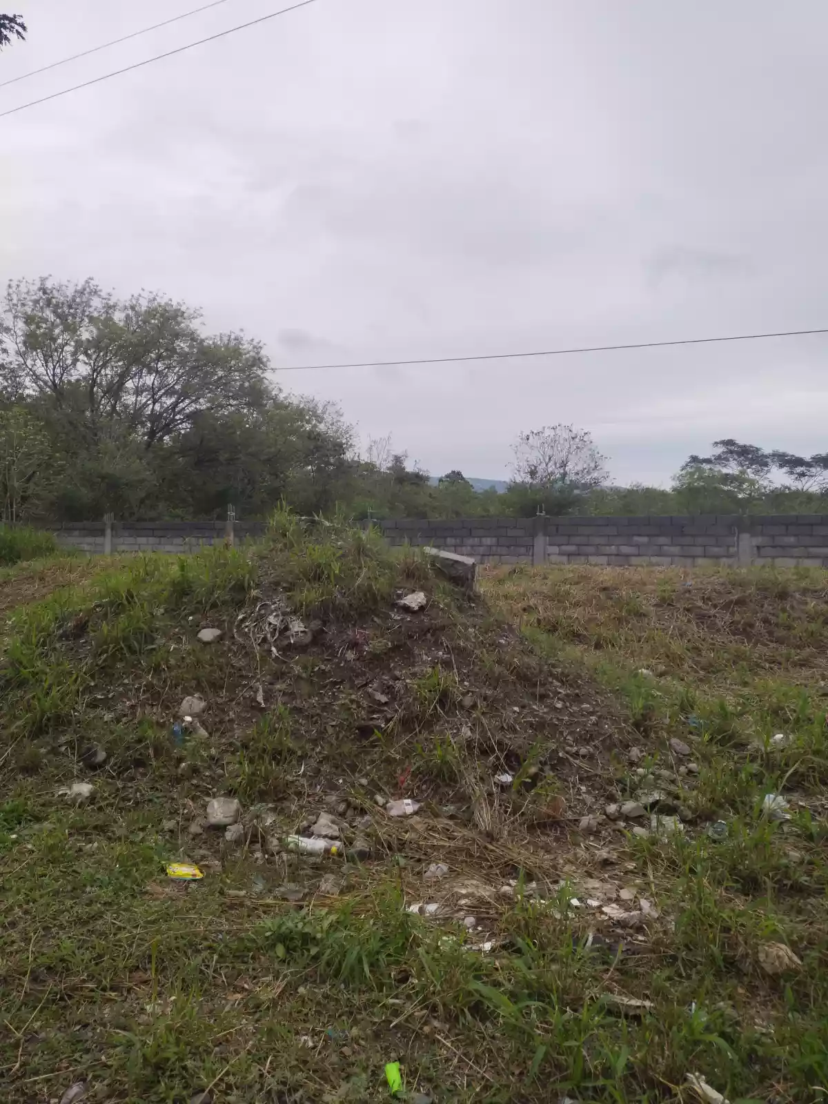 1 hectare ideal for Warehouse 