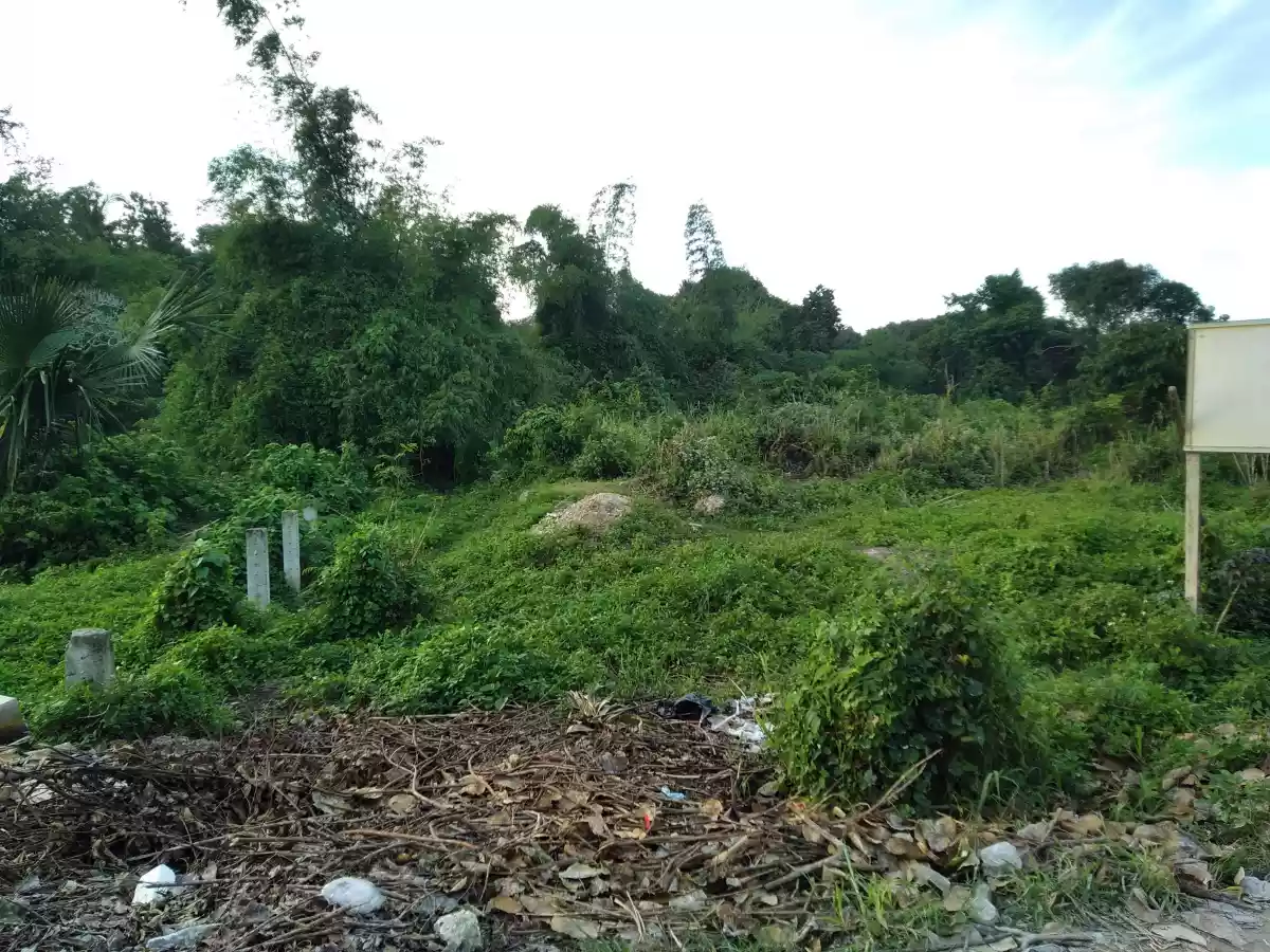 Industrial lot - photo 3