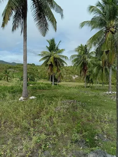 LOT for sale — Residential Lot in Boljoon, Cebu, Philippines — Photo 3