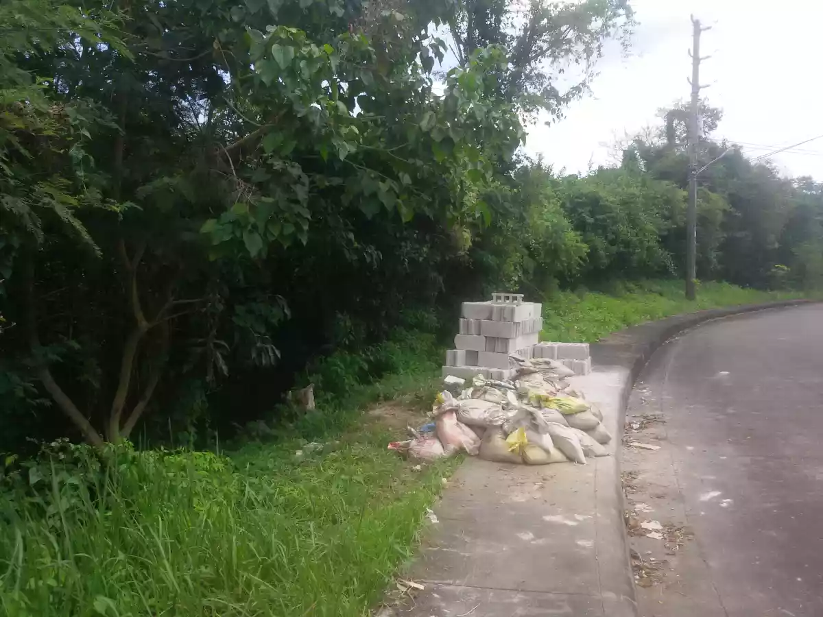 AltaVista private lot