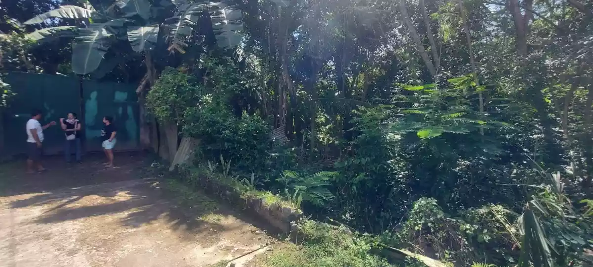 Lot for Sale - photo 5