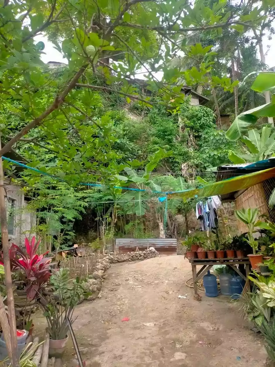 Lot Only — Commercial Lot in Catmon, Cebu, Philippines — Photo 5