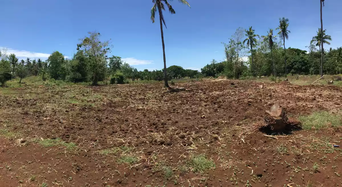 Cogon, Elsalvador — Residential Lot in Misamis Oriental, Philippines — Photo 6