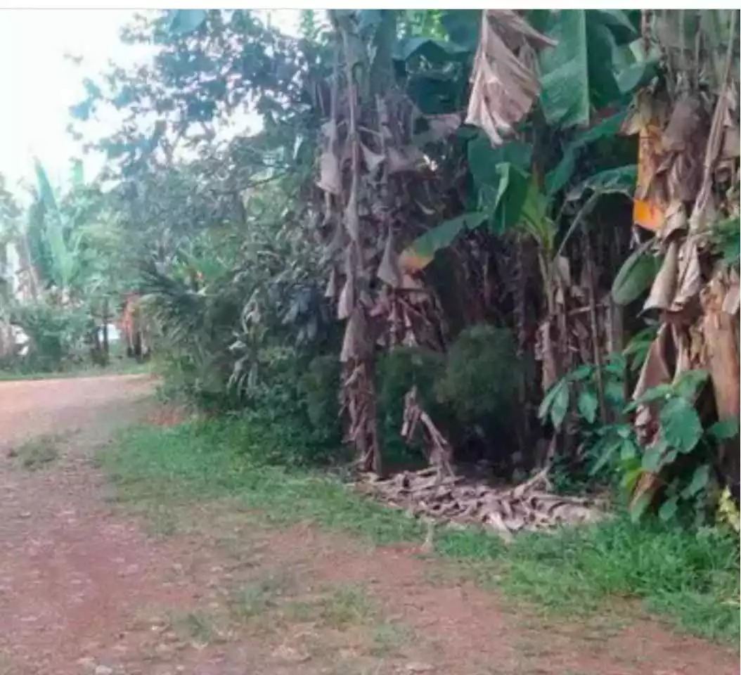 RESIDENTIAL LOT FOR SALE IN STA. MONICA PUERTO PRINCESA CITY — Residential Lot in Palawan, Philippines — Photo 3
