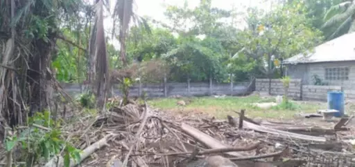 Lot For Sale in Dumaguete City — Residential Lot in Dumaguete, Negros Oriental, Philippines — Photo 2