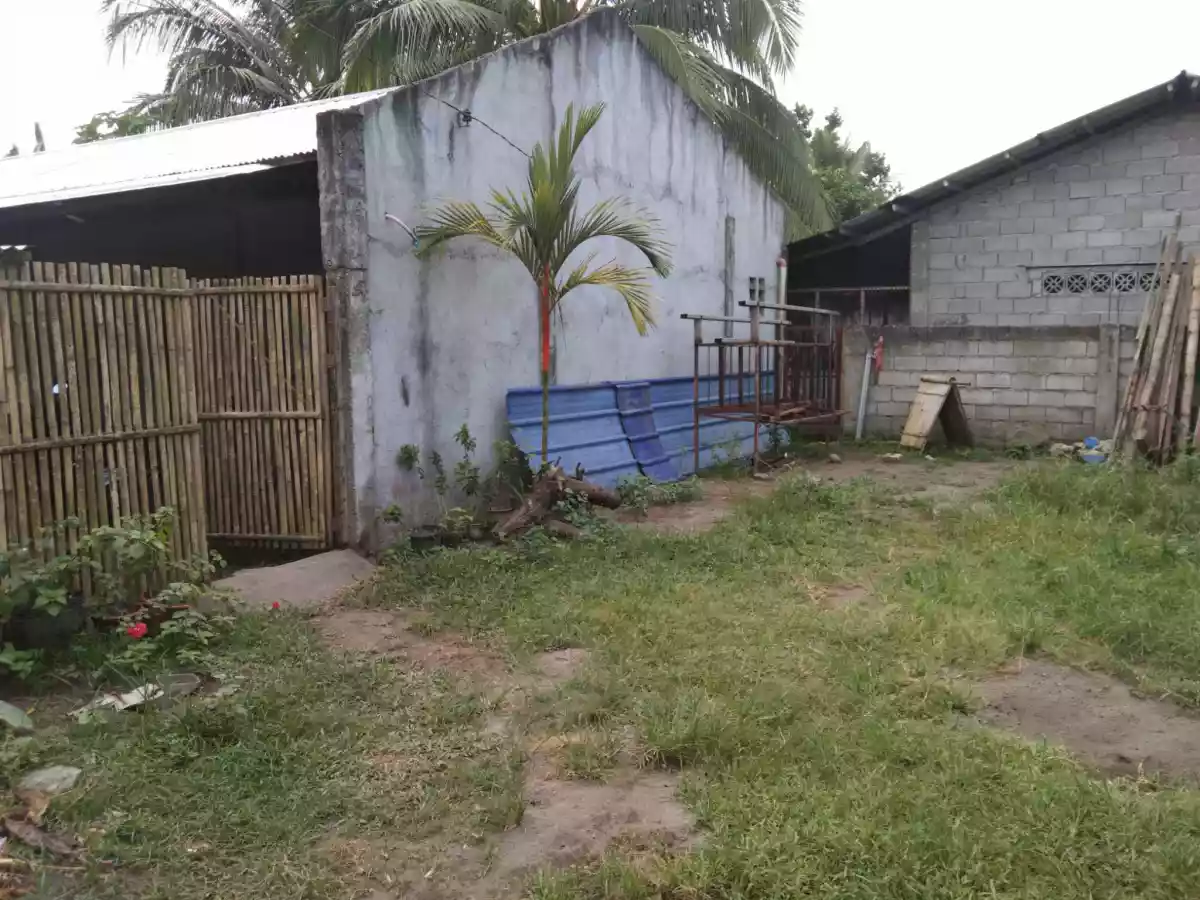 Land w/ 3 Rooms (Apartment) - photo 2