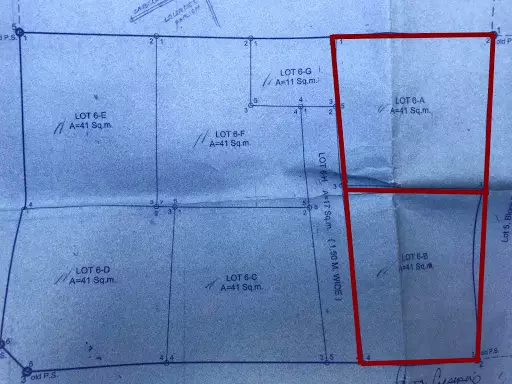 Residential Lot for Sale in Tisa, Cebu City — Residential Lot in Cebu City, Cebu, Philippines — Photo 6