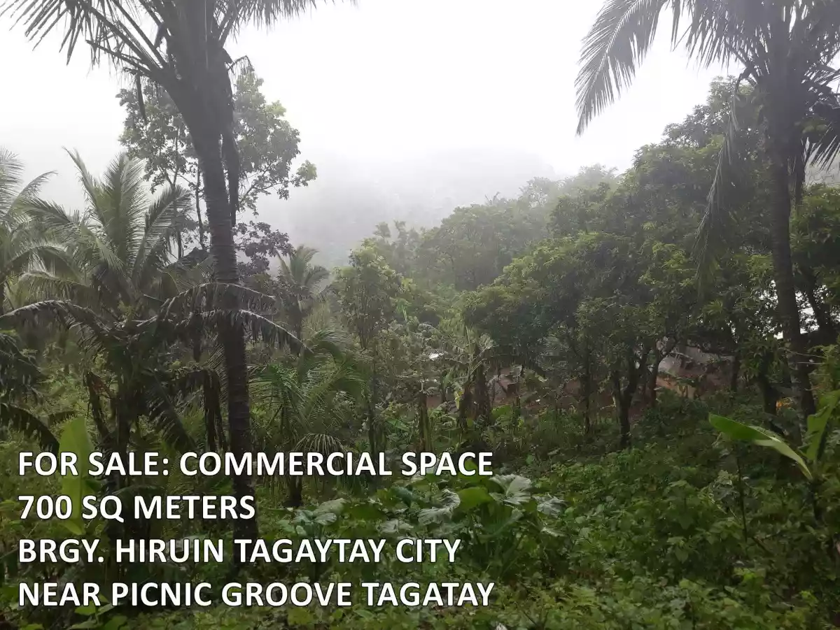 700sqm Commercial Lot in Tagaytay — Commercial Lot in Tagaytay, Cavite, Philippines — Photo 2
