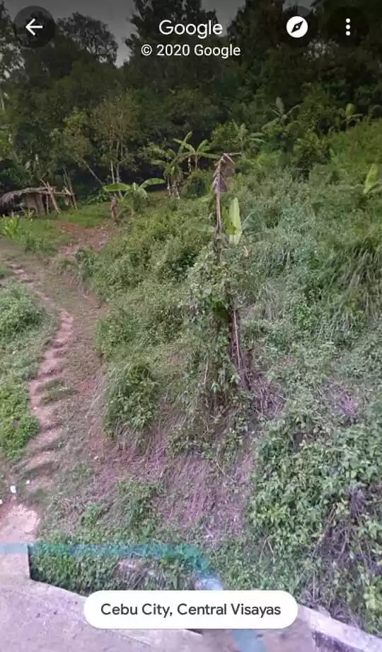 TITLED LOT with 8 mango trees ang 20 Santol trees — Agricultural Lot in Cebu City, Cebu, Philippines — Photo 3