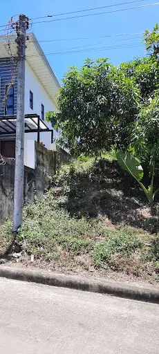 Residential only in Metropolis Talamban — Residential Lot in primeroselane, Primerose Street, Cebu City — Photo 4