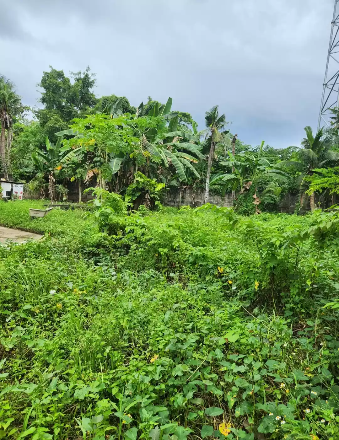 Lot for sale