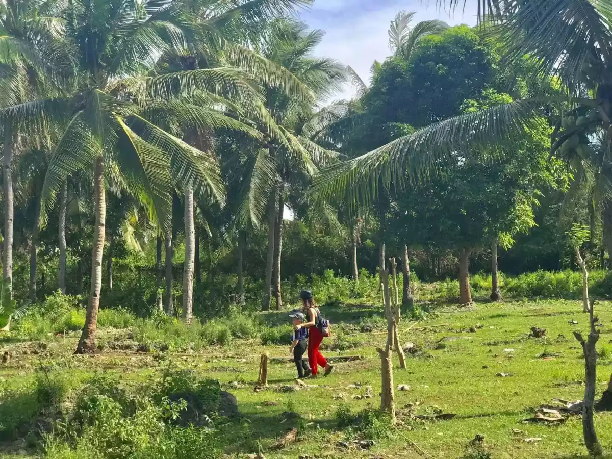Lot for Sale (Cebu Cordova) — Commercial Lot in Cebu, Philippines — Photo 3