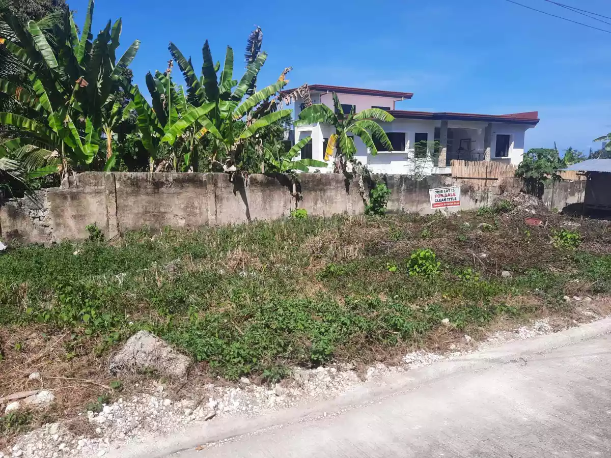 TITLED LOT FOR SALE - LILOAN CEBU - photo 3