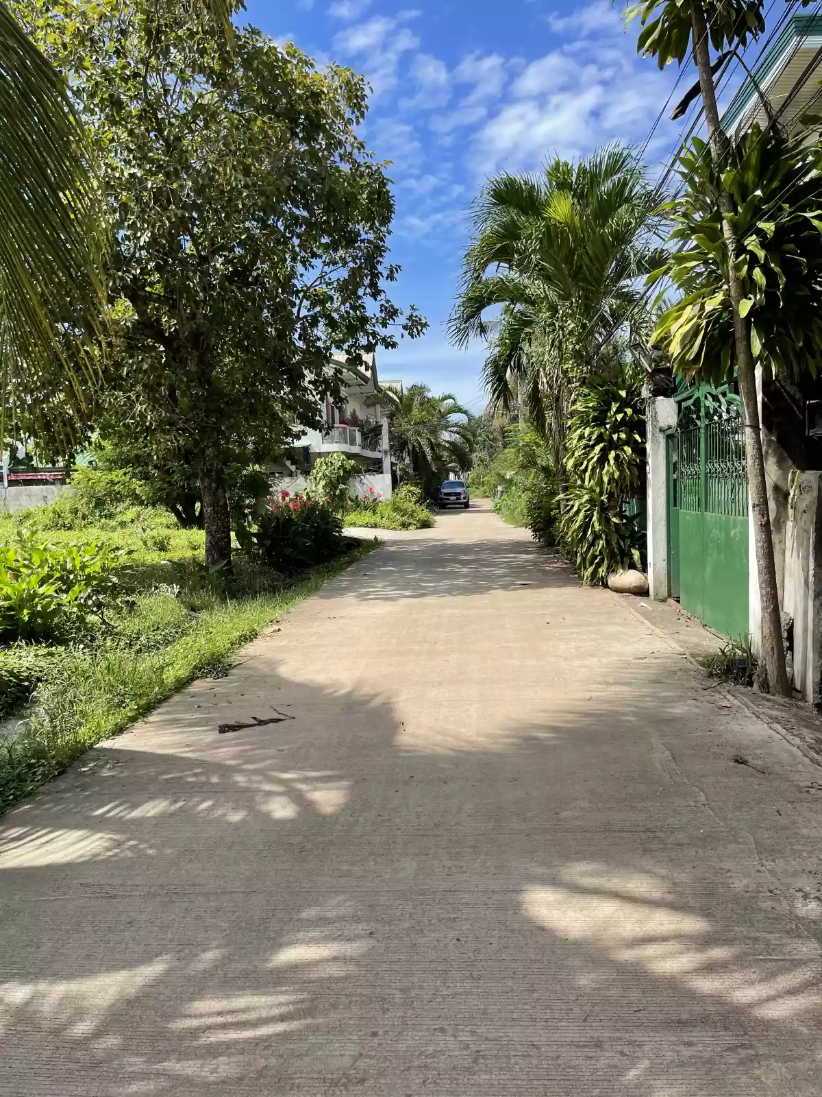 LOT FOR SALE at Aluba, CDO - photo 3