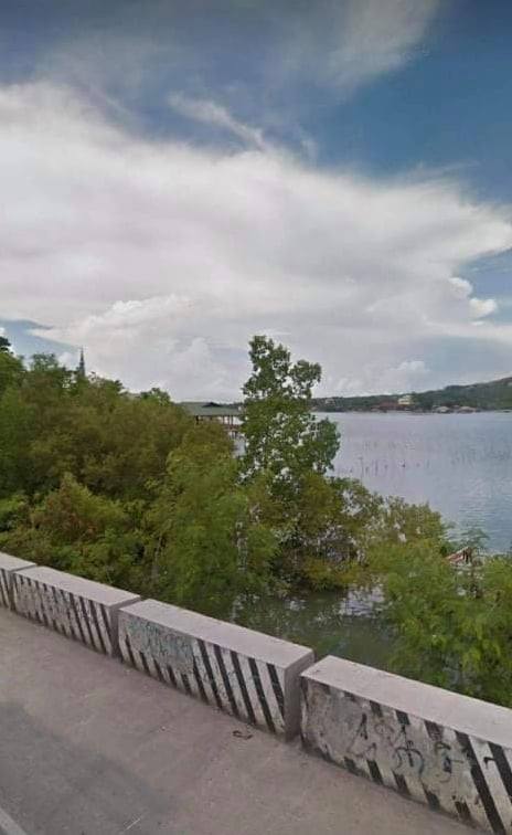 Overlooking Sea View Commercial Lot in Tagbilaran City for Sale! — Commercial Lot in Tagbilaran City, Bohol, Philippines — Photo 3
