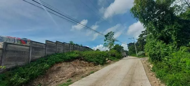 INDUSTRIAL LOT FOR SALE - TAYUD, LILOAN - photo 5