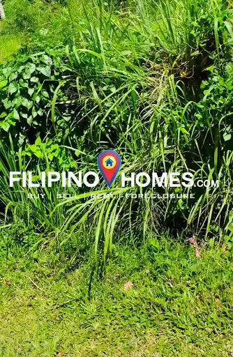 10276 — Residential Lot in Naga, Camarines Sur, Philippines — Photo 2