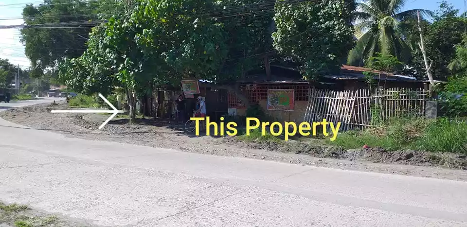 FS: 300 SQM COMMERCIAL LOT ALONG NLSA ROAD WALKING DISTANCE FROM QUANTUM ACADEMY - photo 3