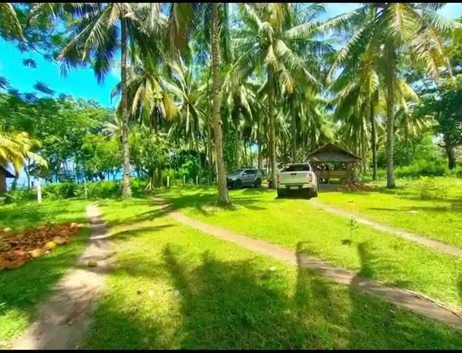 Maayong tubig Dauin beach property - photo 2