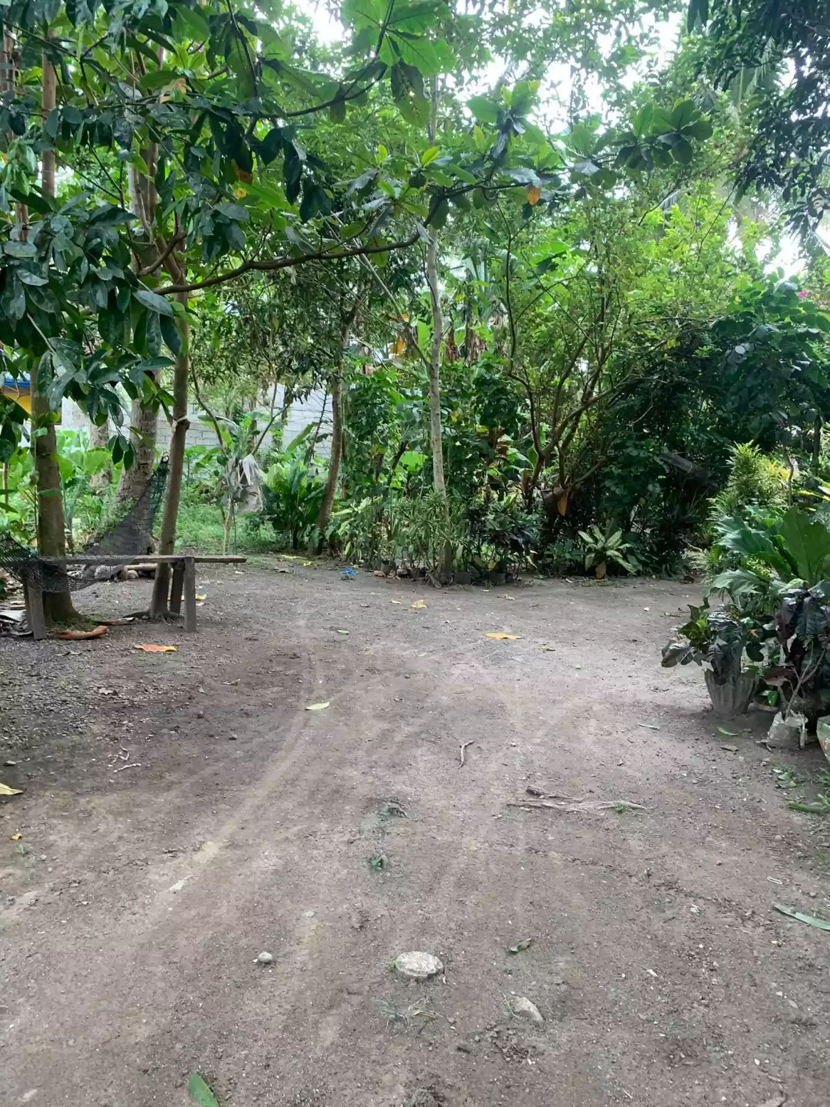 300 SQ.M RESIDENTIAL LOT — Residential Lot in Alabel, Sarangani, Philippines — Photo 2
