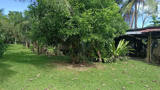 Lot For Sale Near Greensville 3 Bacolod City — Residential Lot in Bacolod, 6100 Negros Occidental, Philippines — Photo 3