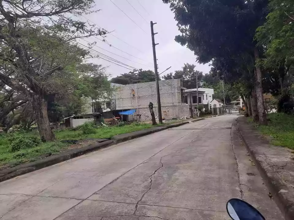 LOT ONLY
