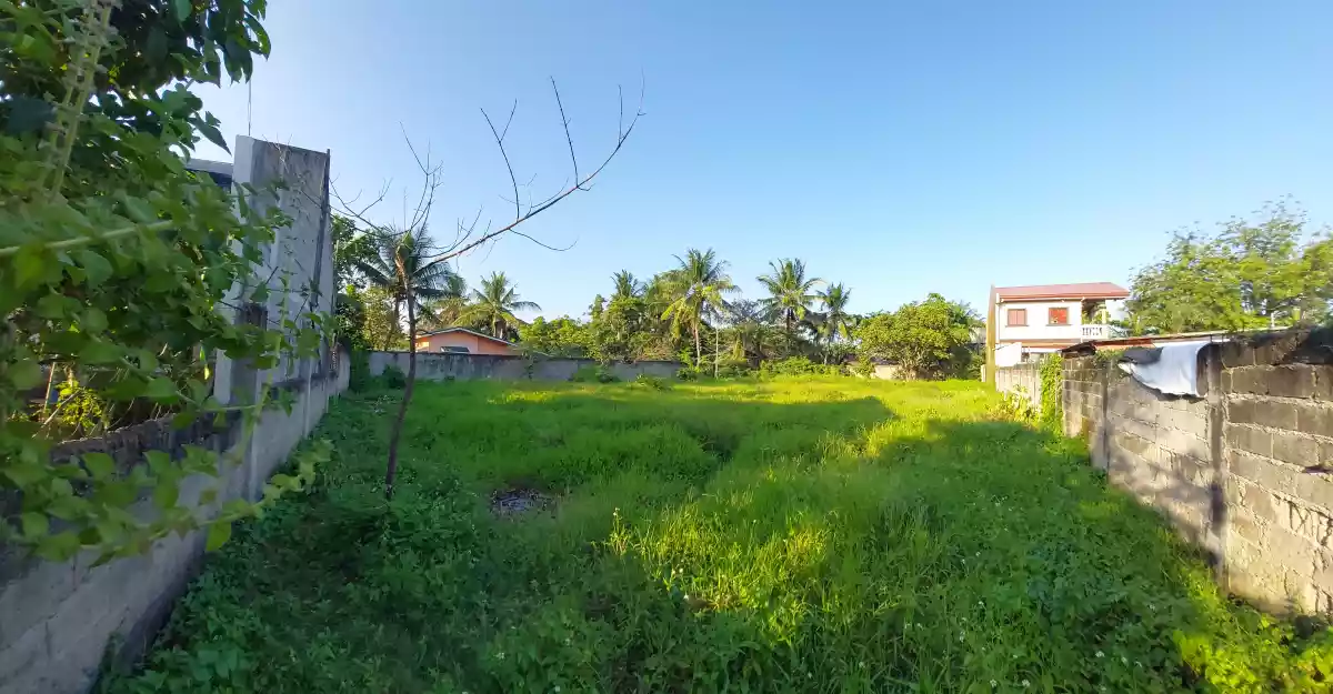 Subdivided lot for sale - photo 5