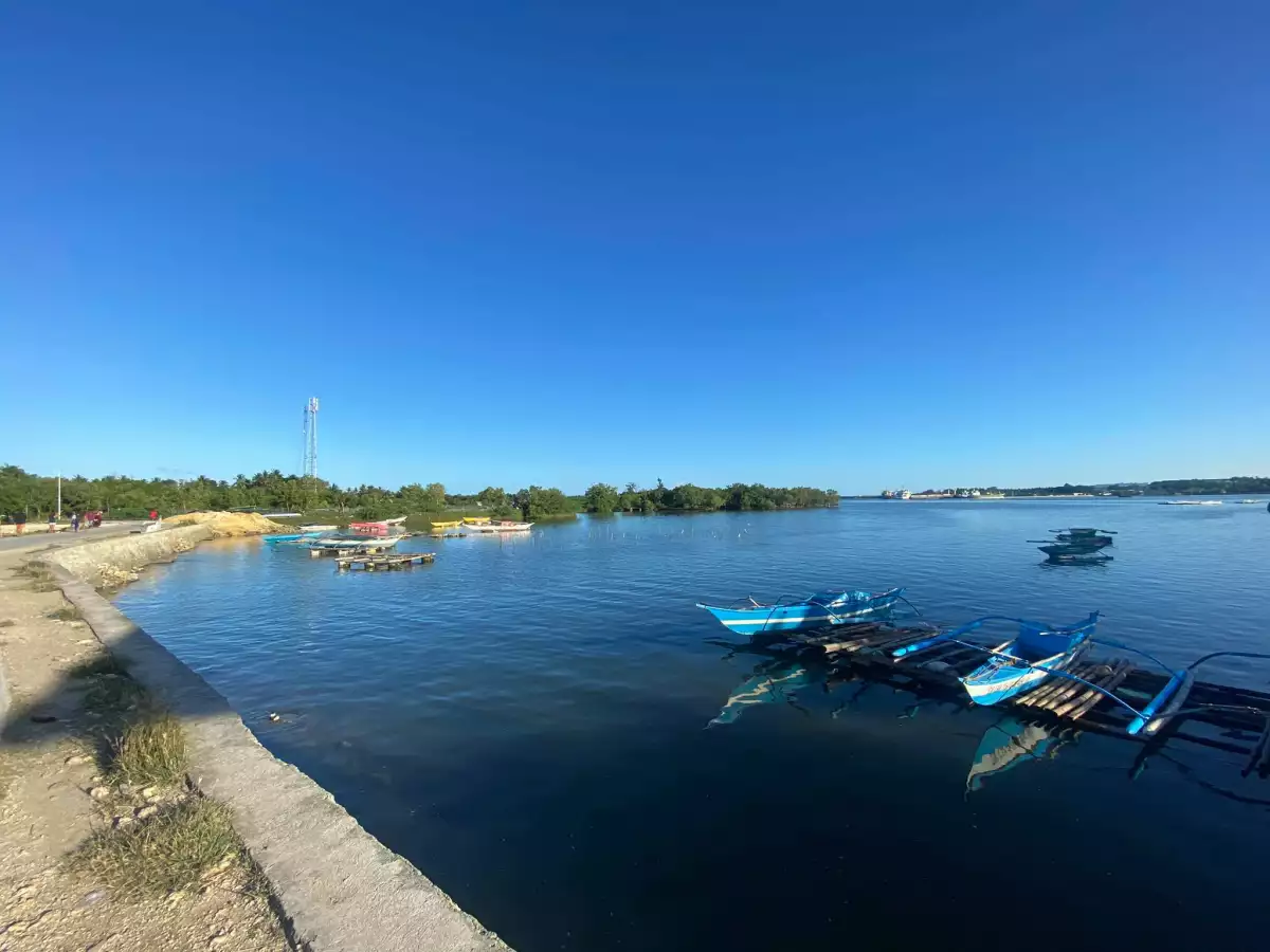 Industrial Lot for Sale in Carmen, Cebu (negotiable)