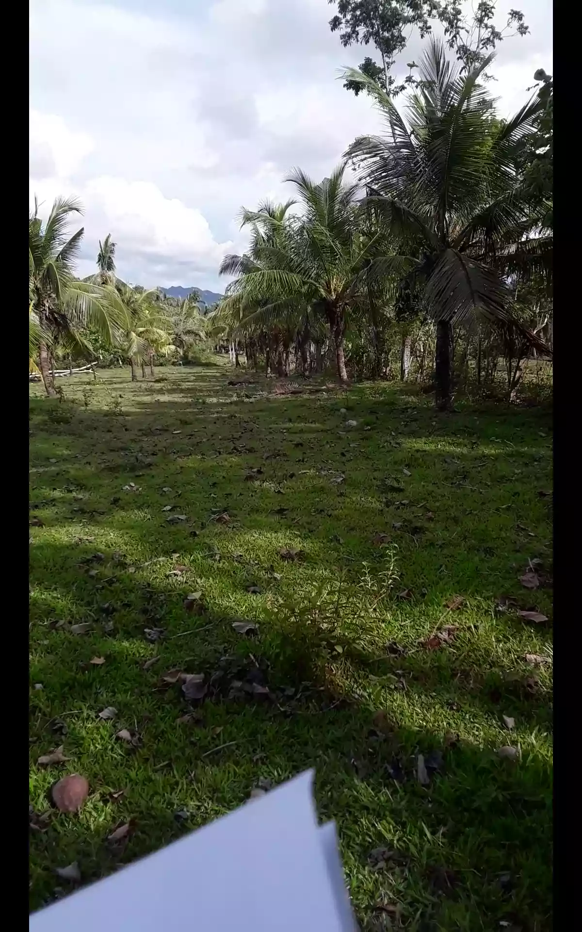Lot  for sale