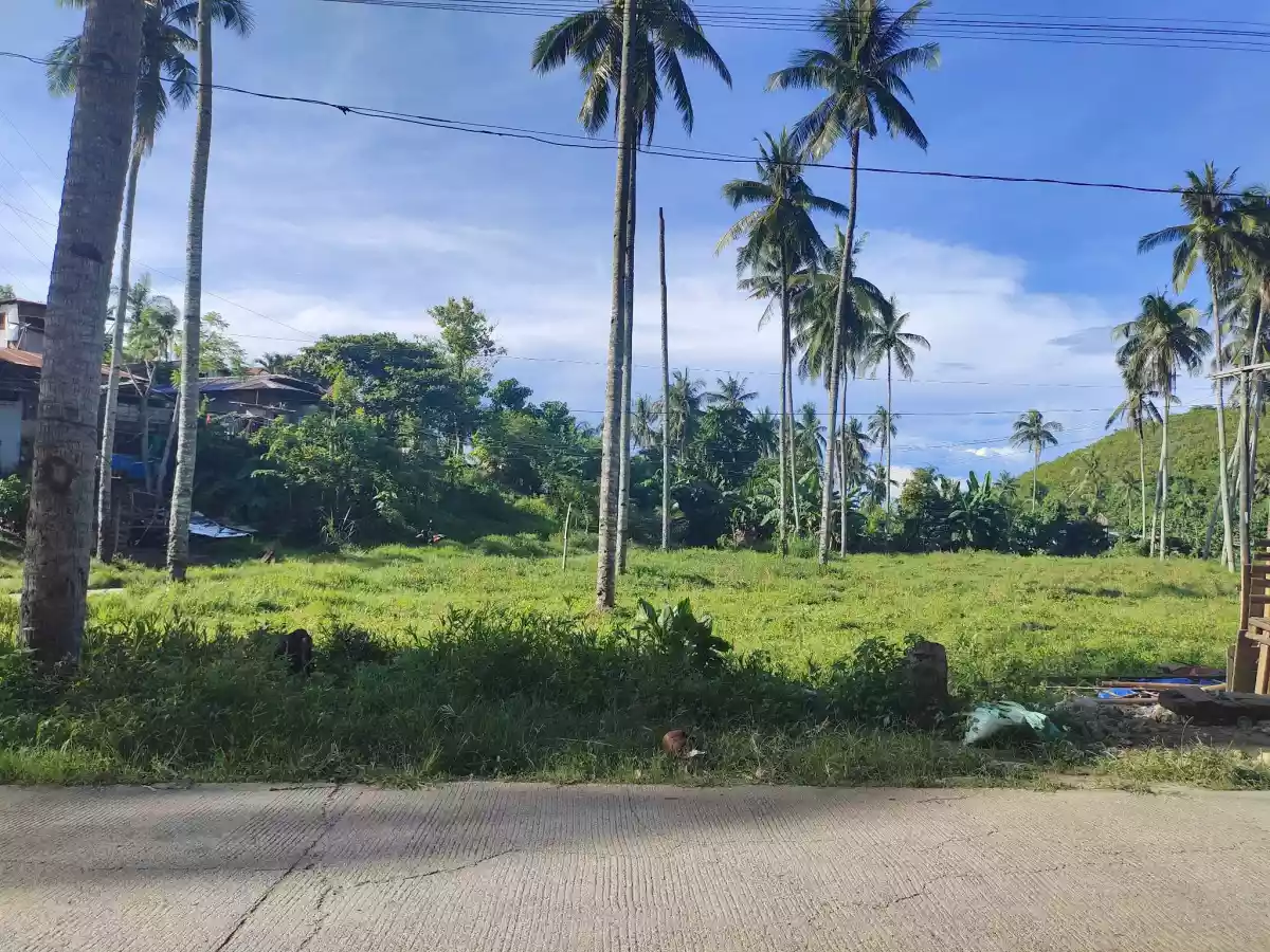 6220sqm Industrial Lot in Compostela
