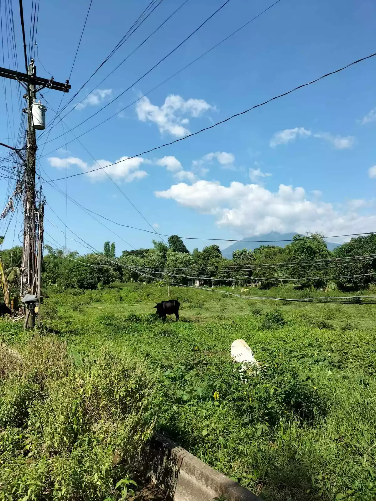 Batinguel Diversion Residential 6879sqm Lot For Sale — Residential Lot in Negros Oriental, Philippines — Photo 3