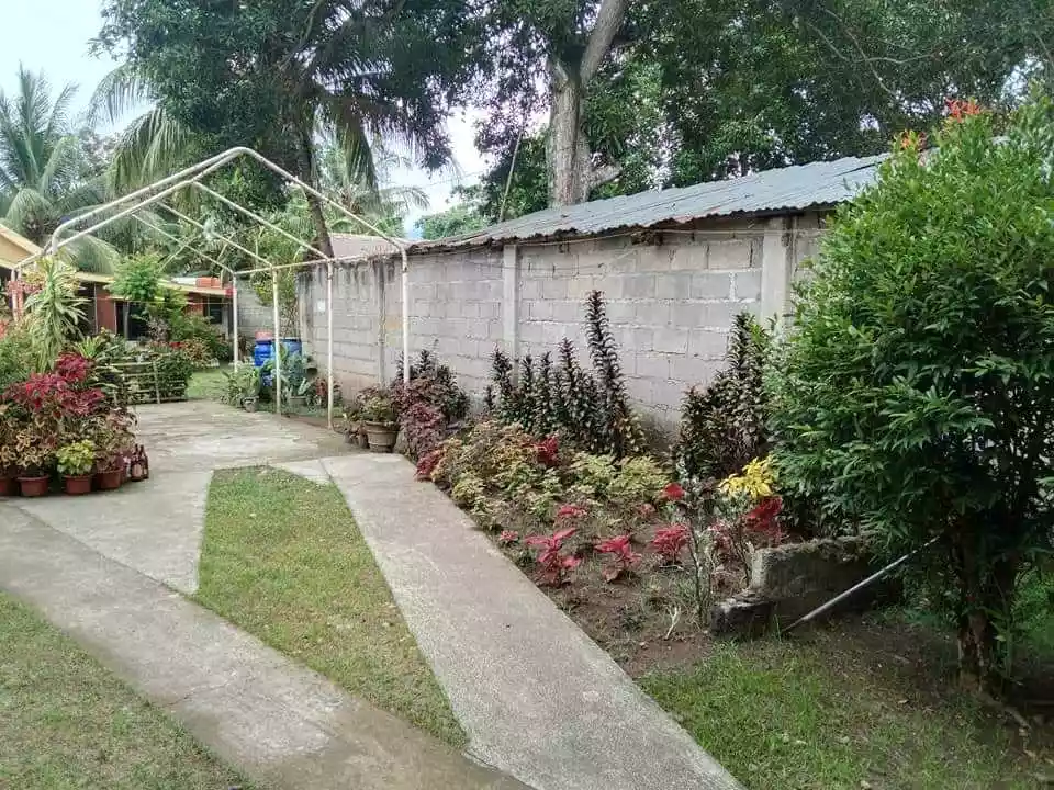 LOT FOR SALE — Residential Lot in Amlan, Negros Oriental, Philippines — Photo 5
