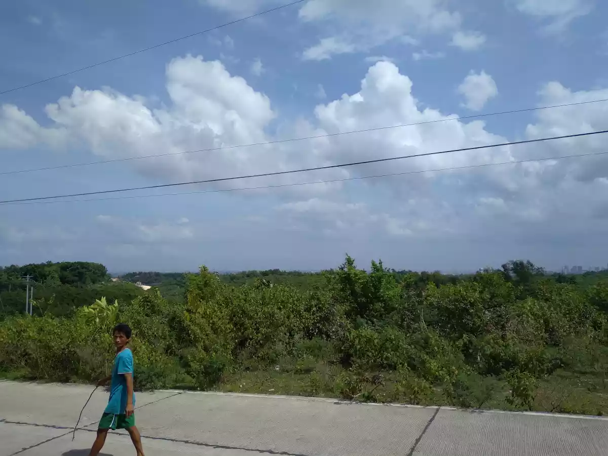 Consolacion Lot for Sale - photo 4