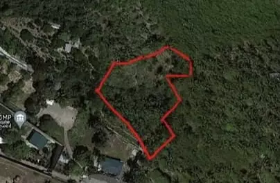 Lot For Sale - Linao Talisay — Agricultural Lot in Cebu, Philippines — Photo 6