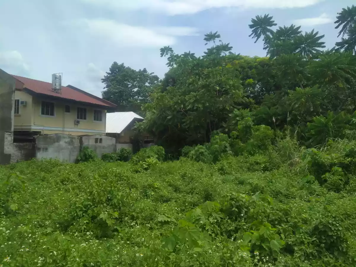RESIDENTIAL LOT IN TUNGHAAN - photo 2